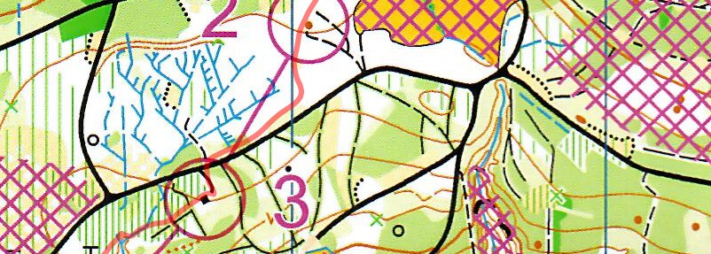 47. Wisliger OL (16.03.2025)