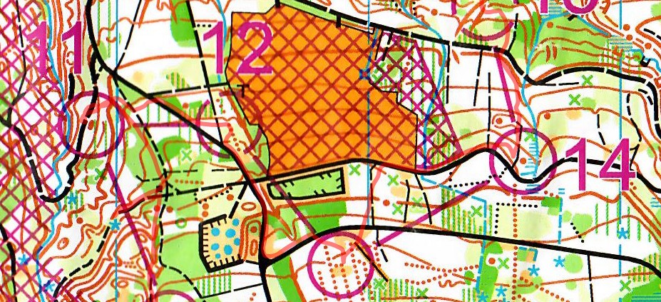 70. Weinfelder OL (31.08.2025)